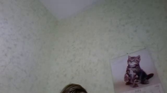 Видео с веб-камеры. Дата: 30 мая 2014 г., 9:12. смотреть онлайн