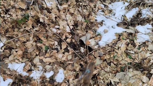 Как я познакомился с Angry Birds. смотреть онлайн