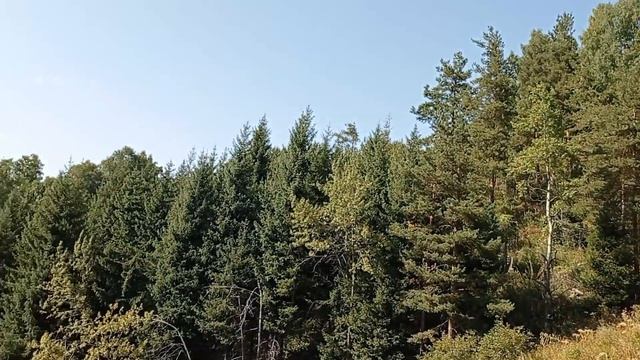 вид возле катка Медеу смотреть онлайн