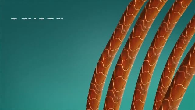 Шампуни от NL! смотреть онлайн