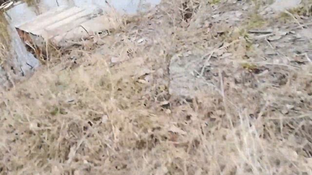 Опасная поездка по внедорожью на ИЖе во время КАРАНТИНА! Заброшенная дача! смотреть онлайн