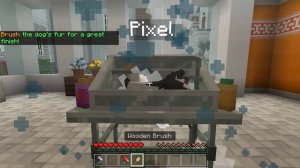 ПРОКАЧАЛА ДЕТСКИЙ САД В МАЙНКРАФТ! ДОБРАЯ БАФФИ СТАЛА ПОМОЩНИКОМ В ДЕРЕВНЕ СОБАК! MINECRAFT ЖИТЕЛИ