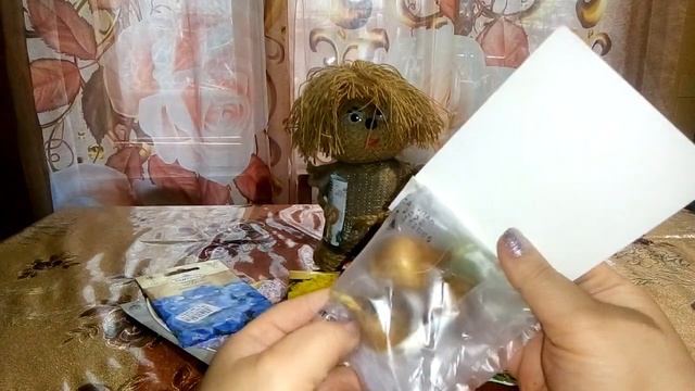 Обзор луковичных цветов из Светофора, и семян цветов которые планирую сееть и сажать в этом сезоне смотреть онлайн