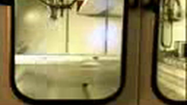 Замысел строения растений и Биомиметика YouTube смотреть онлайн