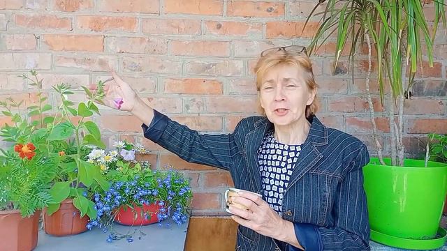 Доброе утро. Славянск 13 июня 2023 смотреть онлайн