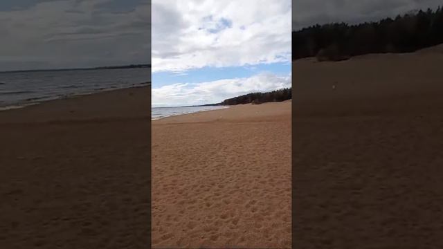 Финский Залив 2022. смотреть онлайн