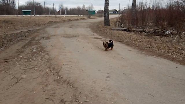 Село Мокрое.Прачечная.Посылки.Laundry. Parcels. Village. смотреть онлайн