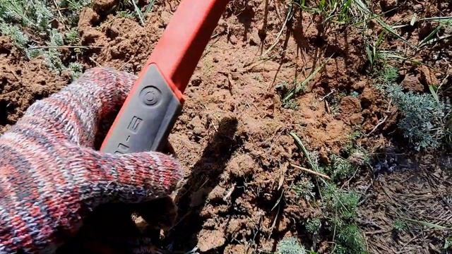 Закапываю клад с ранними советами смотреть онлайн