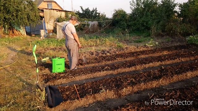 Агроволокно под клубнику.