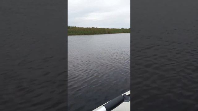 Тохатсу 5 на максималках смотреть онлайн