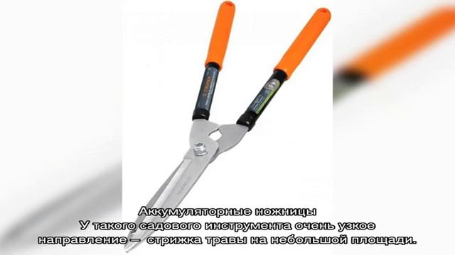 Как выбрать садовые ножницы： особенности инструментов и их применениеКак выбрать садовые ножницы: ос смотреть онлайн