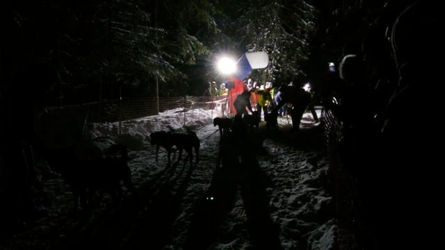 Ночная гонка на собачьих упряжках - РУССКИЙ СЕВЕР | этап Кубка мира IFSS смотреть онлайн