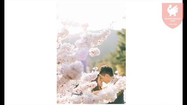 Онлайн-курс "Фотография как искусство" смотреть онлайн