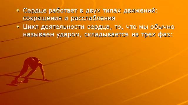 Презентация Кровеносная система человека смотреть онлайн