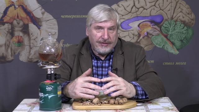 Навязчивые песни в голове смотреть онлайн