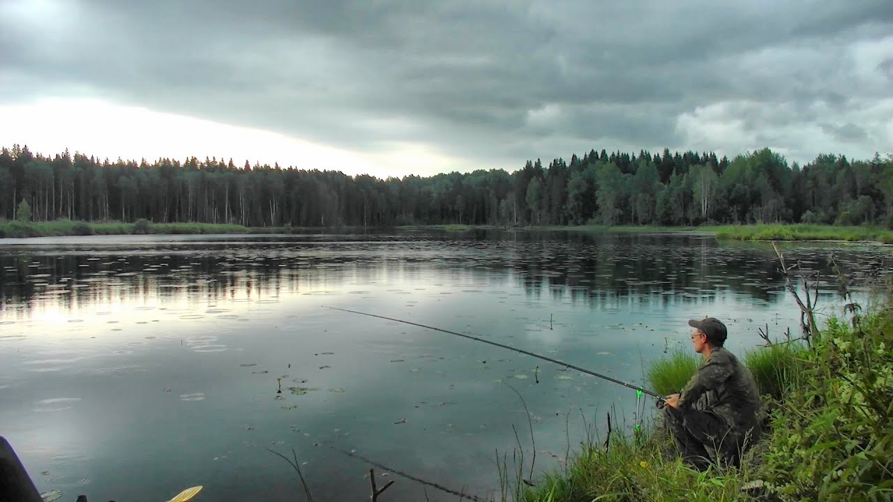 3 дня на озере #377 смотреть онлайн