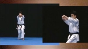 Ката Гарю | Kata Garyu