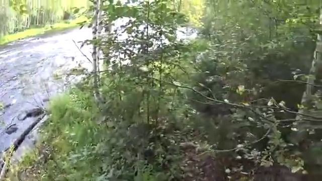 1/3 Сплав по р.Кепа (Калевала, Карелия). 1-й день: стапель, порожки, избушки, непогода. смотреть онлайн