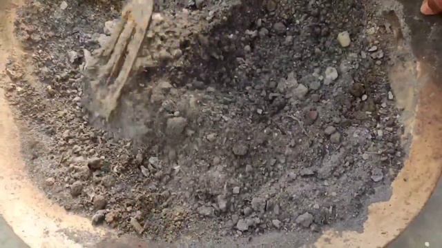 Best soil mixture for pansy plants!!पैंजी के पौधे लगाएं ताकतवर soil mixture में ज्यादा फूलों के लिए смотреть онлайн