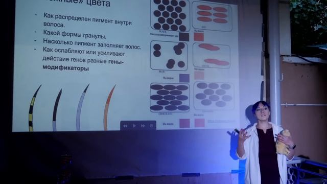Как раскрасить кошку. Лекция Анны Ивановой смотреть онлайн
