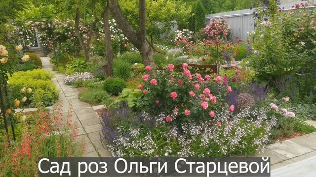 Трейлер для новичков. Мой канал о розах, о дизайне сада, о партнёрах роз и декоре сада. смотреть онлайн