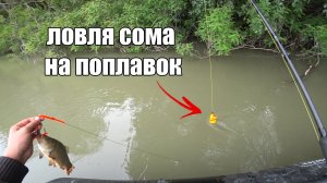 Ловля сома на поплавок / рыбалка на сома