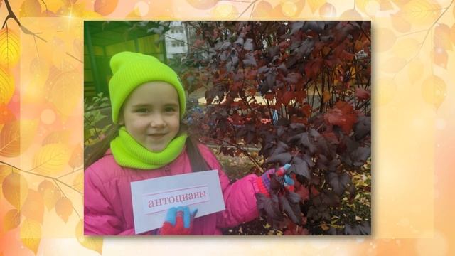 Видеоинструкция по реализации STEAM практики Проект «Лаборатория осенних красок» смотреть онлайн