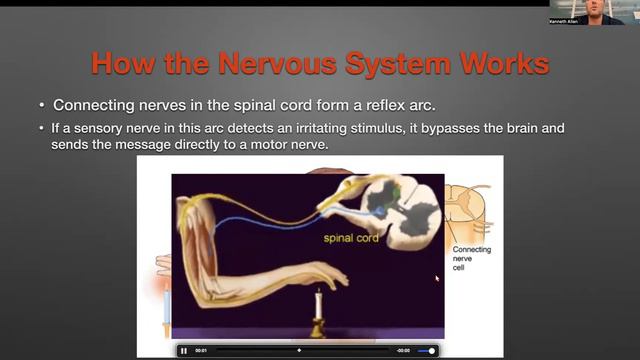 HEAD NECK and SPINE TRAUMA смотреть онлайн