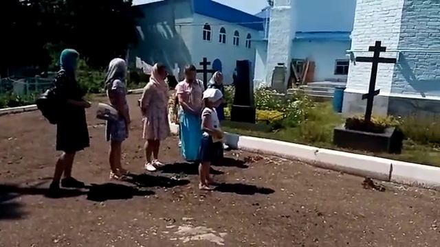 Тавели смотреть онлайн