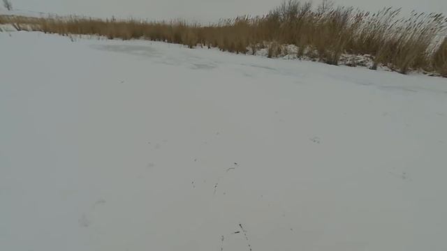 Охота на зайца. Зайцы 2022. смотреть онлайн