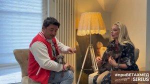 Секреты породы. Левретка // #приВЕТАХМЕД