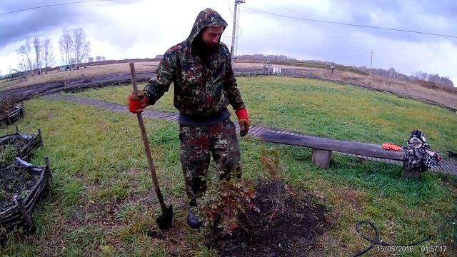 Сажаем куст Шиповника Азъ Градъ 19.10.2018г смотреть онлайн
