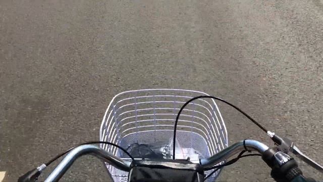 Грузовой трехколесный электровелосипед для взрослых ИЖ смотреть онлайн