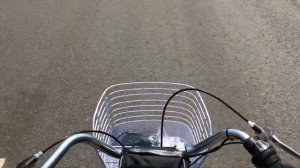 Грузовой трехколесный электровелосипед для взрослых ИЖ