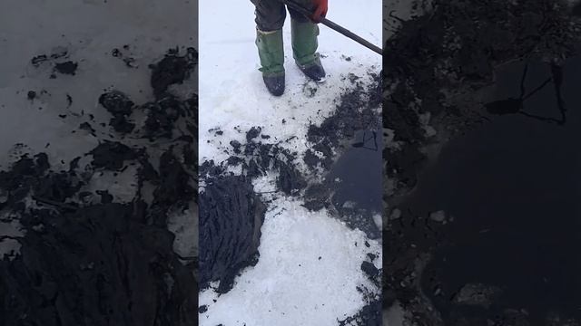 Мотыль для рыбалки моем Мотыля Зимняя рыбалка На ставке смотреть онлайн