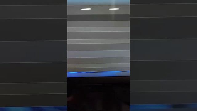 Ledger Live. Подумай перед покупкой Леджер.