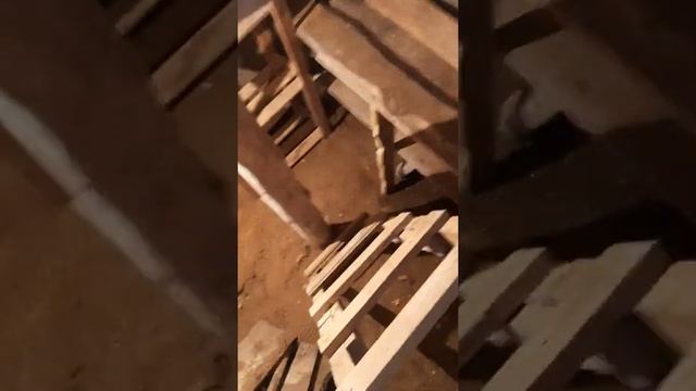 Обработка погреба серной шашкой за 55 руб