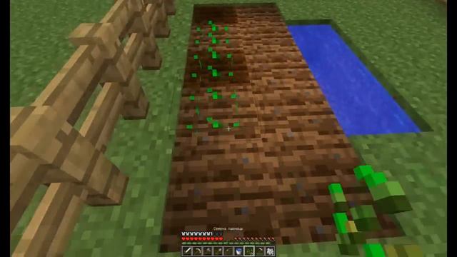Minecraft №5-Ферма пшеницы и коров смотреть онлайн