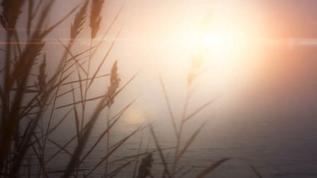 МОЛИТВА ДЛЯ ИСЦЕЛЕНИЯ СЕРДЦА. Я посылаю тебе Свет. Молитва Марии Магдалены смотреть онлайн