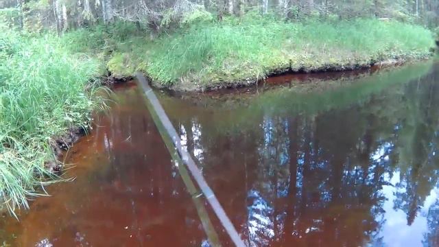 СПИННИНГ/ЛЕСНАЯ РЕЧКА/ДВОЕ НА РЕКЕ. смотреть онлайн