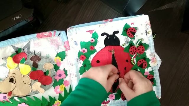 Развивающая книга из фетра для девочки смотреть онлайн