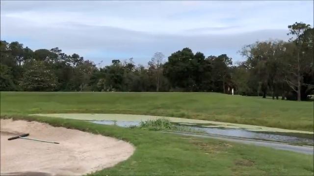 The BEST Course conditions at WDW Disney Magnolia Golf Course, Florida May 2018 смотреть онлайн