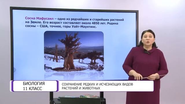 Биология. 11 класс. Сохранение редких и исчезающих видов растений и животных /26.04.2021/ смотреть онлайн