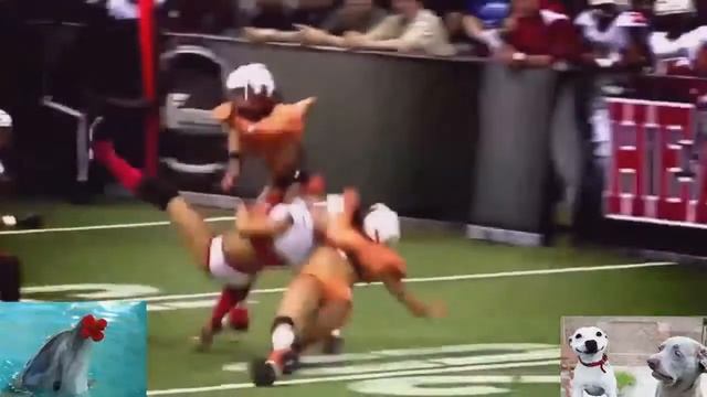 ПРИКОЛЫ С ДЕВУШКАМИ. BEST COUBS АПРЕЛЬ 2021. Девушка дайвер упала в лодку ++Картинки смотреть онлайн