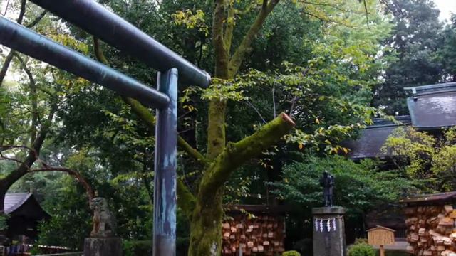 小田原報徳二宮神社　一日参りの会 月次祭　平成28年10月1日 смотреть онлайн