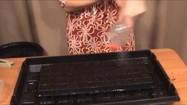 Цветущая виола в год посева смотреть онлайн