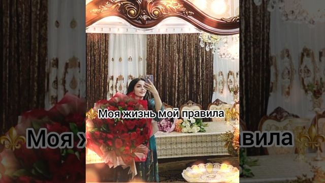 цыганская полька новая владик пипери и золотой мэкэщи ⚜️#врекомендации #эту_музыку_можно_слушать смотреть онлайн