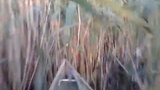 болотоход самодельный 6.5 л/с в камыше смотреть онлайн