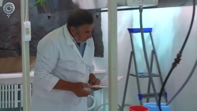 Новосибирские учёные получили новую установку по выращиванию картофеля