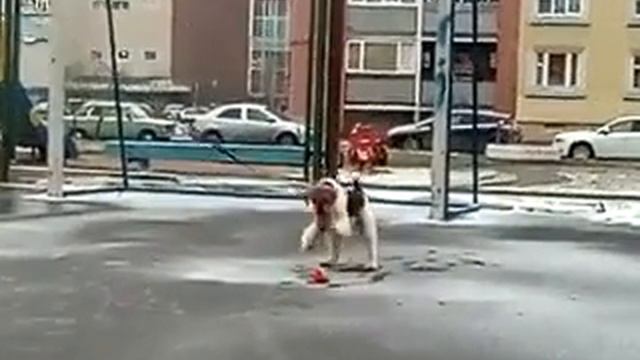 Ready Steady Gospozha Udacha (Di Di,8 month) смотреть онлайн